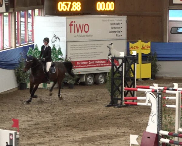 Reitturnier Sulgen 2019