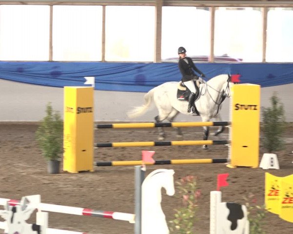 Reitturnier Sulgen 2019