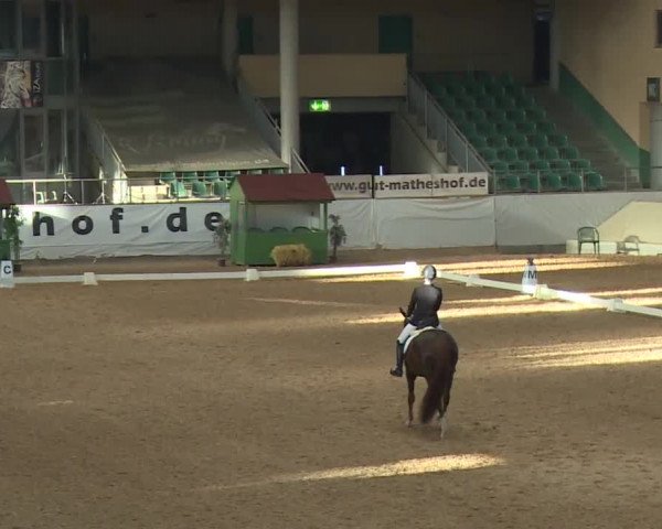 Reitturnier Kreuth/Opf. 2019
