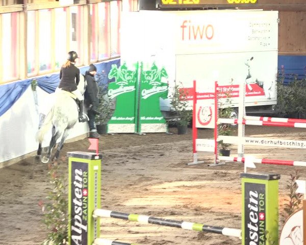 Reitturnier Sulgen 2019