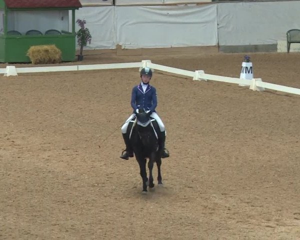 Reitturnier Kreuth/Opf. 2019