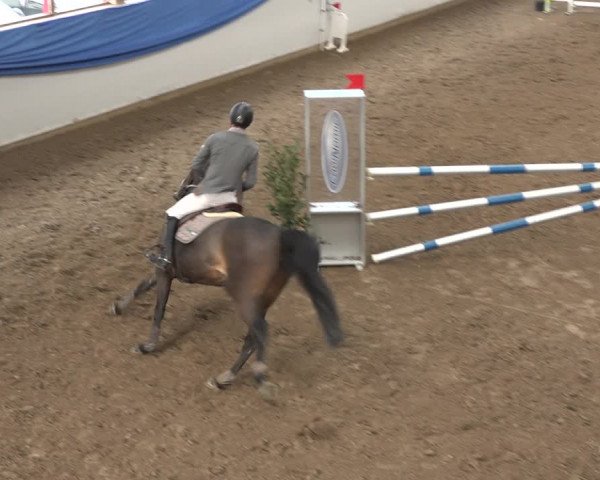 Reitturnier Sulgen 2019