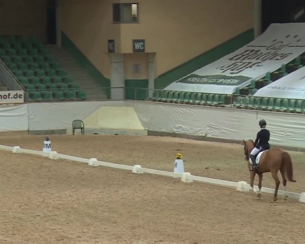Reitturnier Kreuth/Opf. 2019