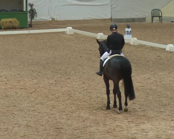 Reitturnier Kreuth/Opf. 2019