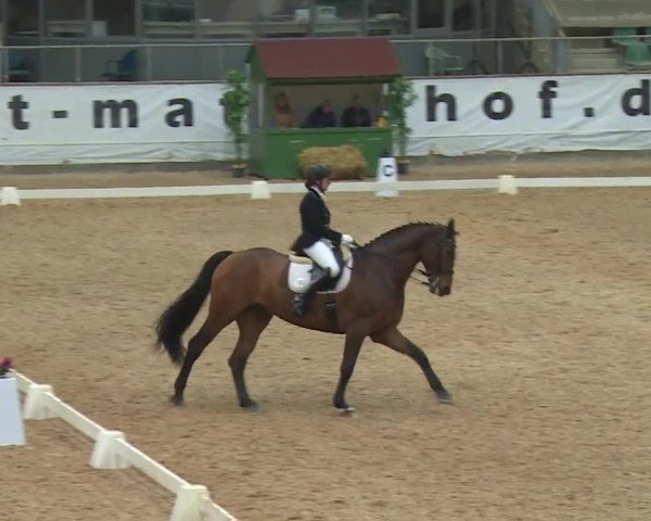 Reitturnier Kreuth/Opf. 2019