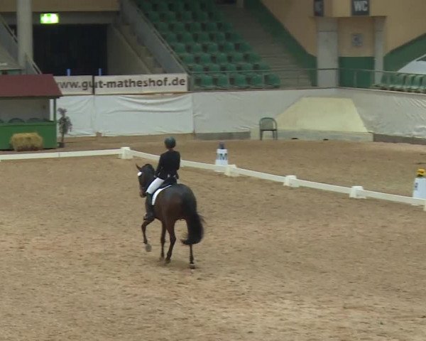Reitturnier Kreuth/Opf. 2019