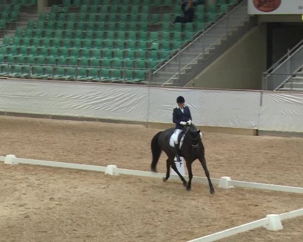 Reitturnier Kreuth/Opf. 2019