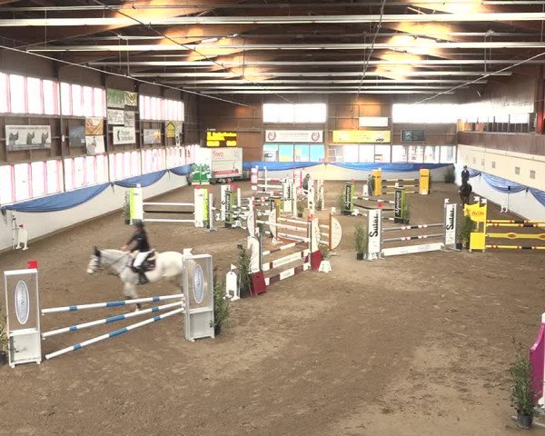 Reitturnier Sulgen 2019