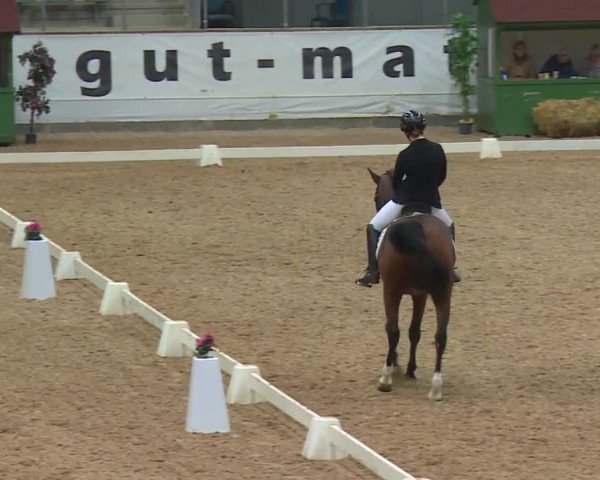 Reitturnier Kreuth/Opf. 2019