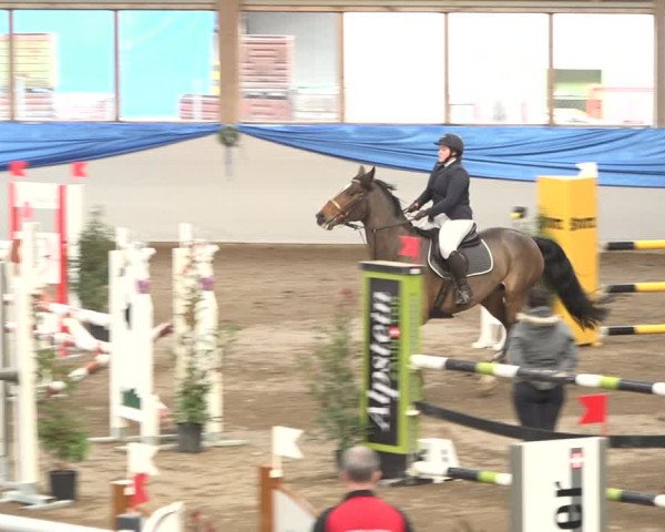 Reitturnier Sulgen 2019