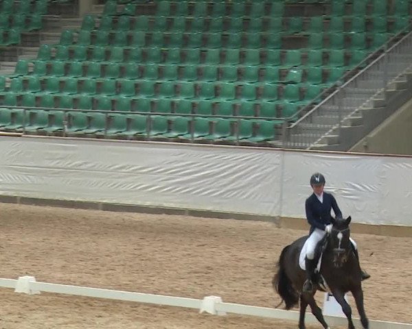 Reitturnier Kreuth/Opf. 2019