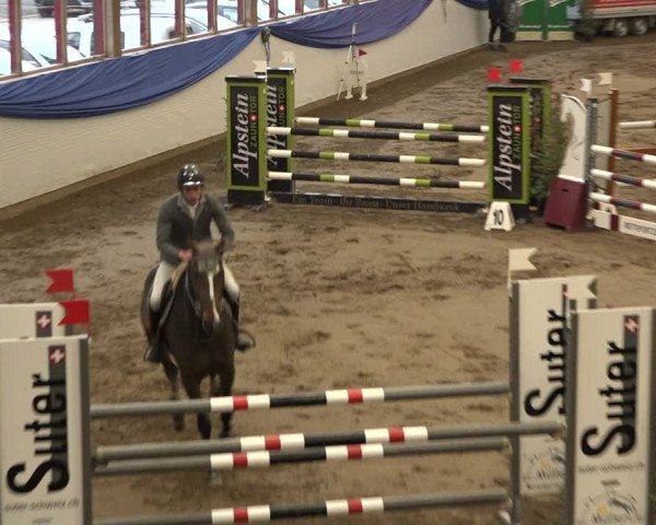 Reitturnier Sulgen 2019