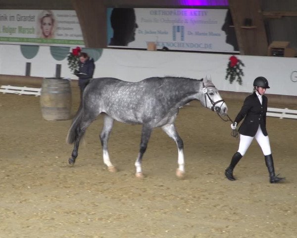 Reitturnier Essen-Stadtwald 2019