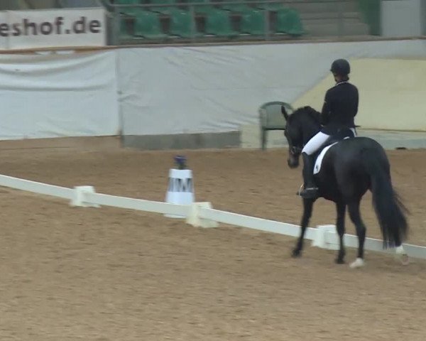 Reitturnier Kreuth/Opf. 2019