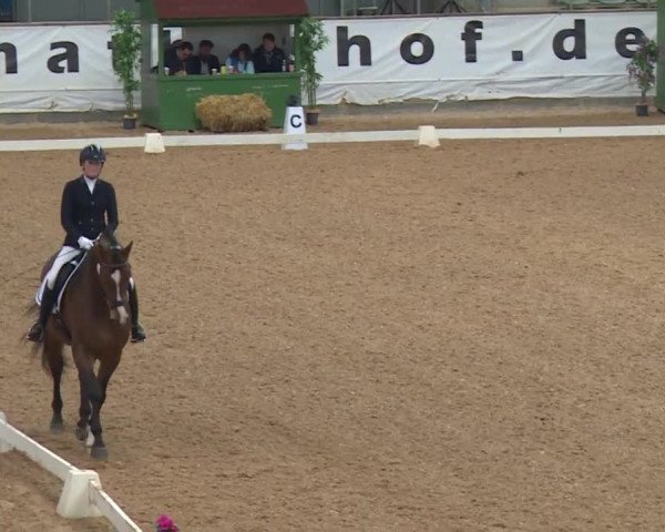 Reitturnier Kreuth/Opf. 2019