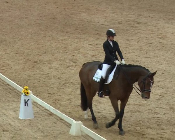 Reitturnier Kreuth/Opf. 2019