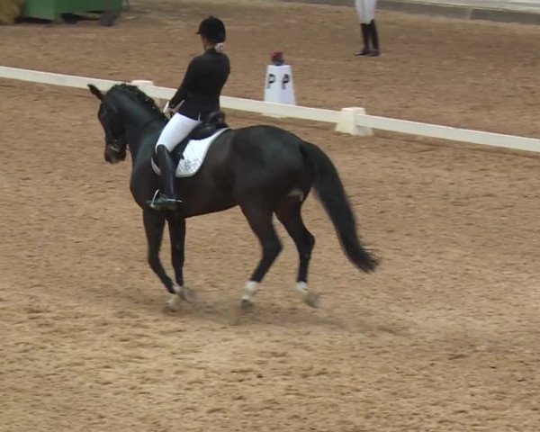 Reitturnier Kreuth/Opf. 2019