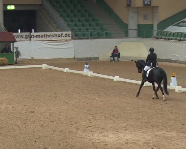 Reitturnier Kreuth/Opf. 2019