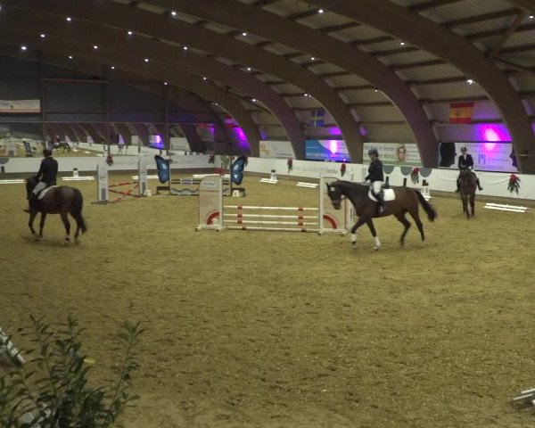 Reitturnier Essen-Stadtwald 2019