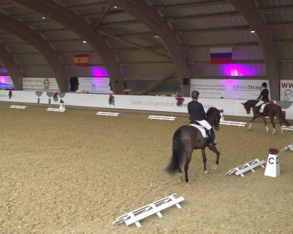Reitturnier Essen-Stadtwald 2019