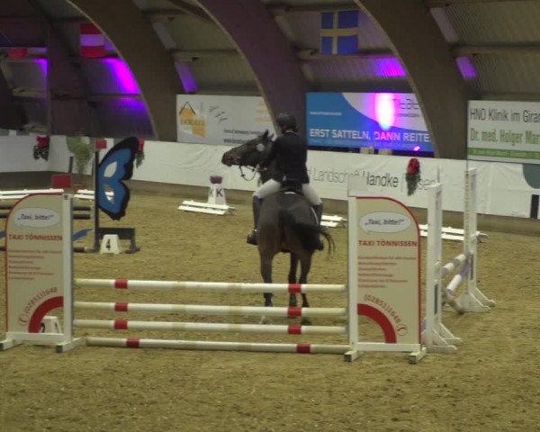 Reitturnier Essen-Stadtwald 2019