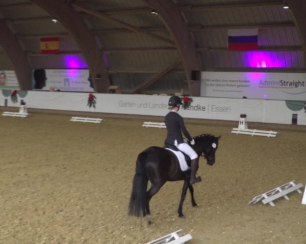 Reitturnier Essen-Stadtwald 2019