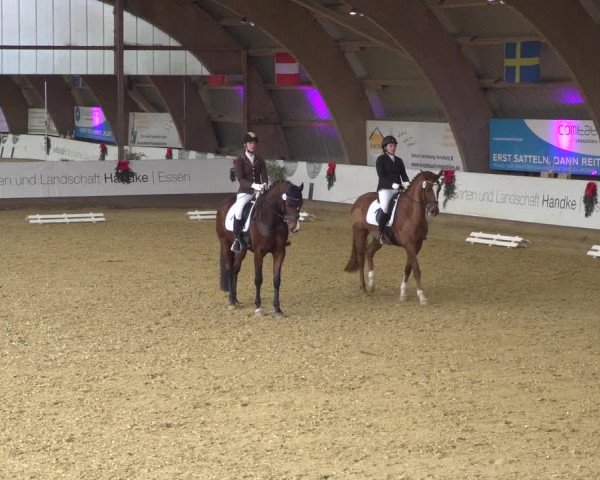 Reitturnier Essen-Stadtwald 2019