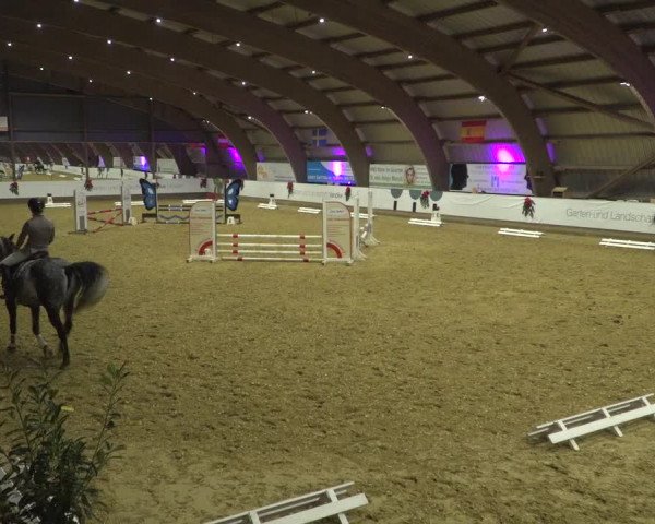 Reitturnier Essen-Stadtwald 2019
