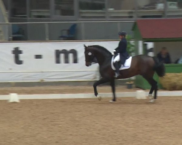 Reitturnier Kreuth/Opf. 2019