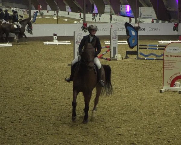 Reitturnier Essen-Stadtwald 2019