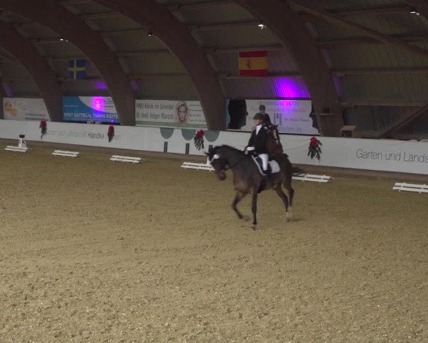 Reitturnier Essen-Stadtwald 2019