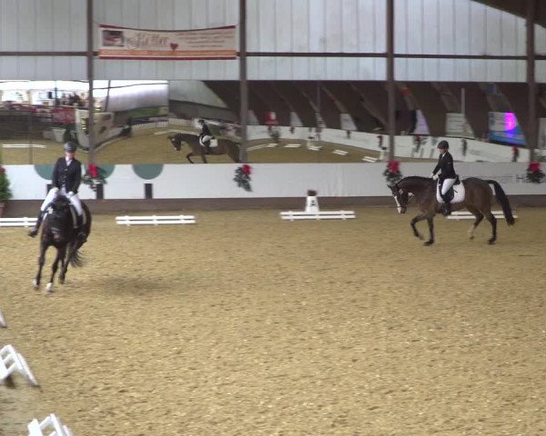 Reitturnier Essen-Stadtwald 2019
