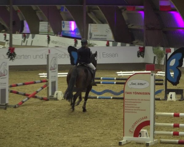 Reitturnier Essen-Stadtwald 2019