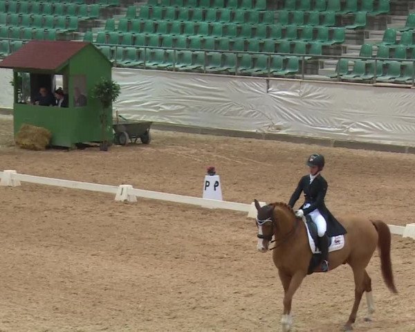 Reitturnier Kreuth/Opf. 2019