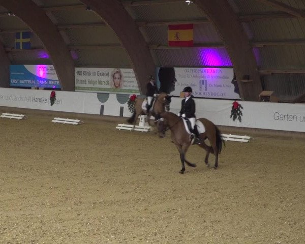 Reitturnier Essen-Stadtwald 2019