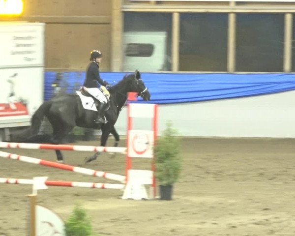 Reitturnier Sulgen 2019