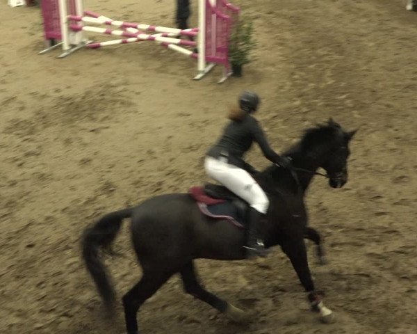 Reitturnier Sulgen 2019