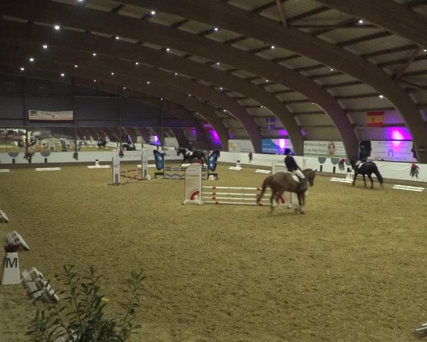 Reitturnier Essen-Stadtwald 2019
