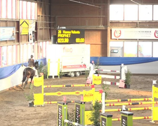 Reitturnier Sulgen 2019