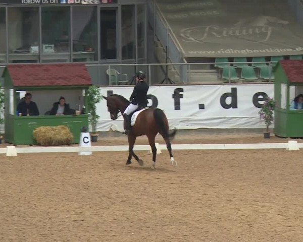 Reitturnier Kreuth/Opf. 2019