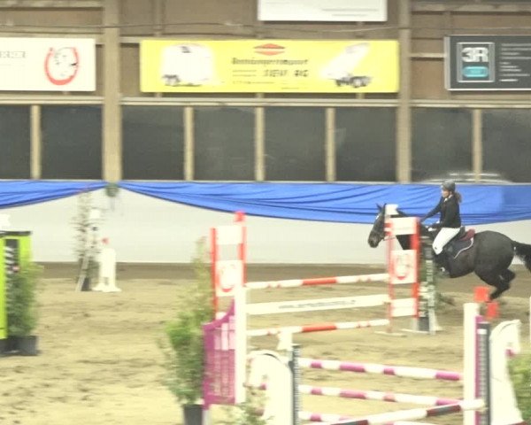 Reitturnier Sulgen 2019
