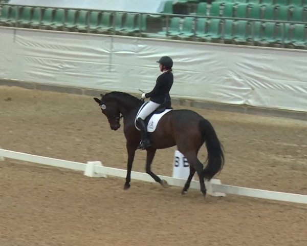 Reitturnier Kreuth/Opf. 2019