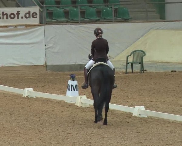 Reitturnier Kreuth/Opf. 2019