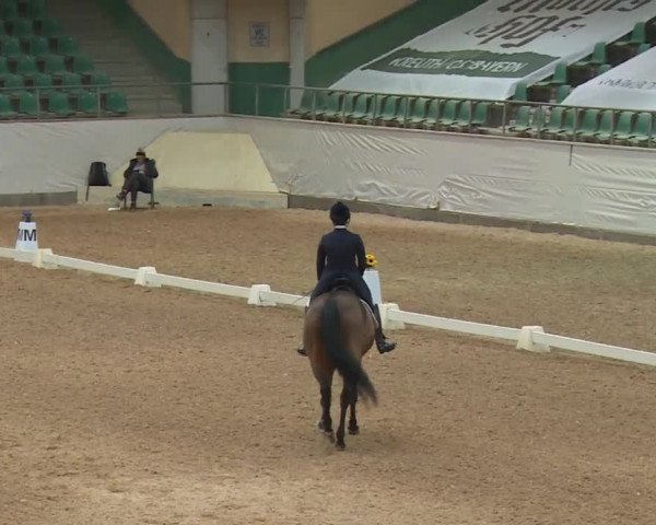 Reitturnier Kreuth/Opf. 2019