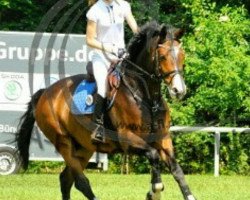 jumper Emilio (Westphalian, 2007, from Ehrenpreis)