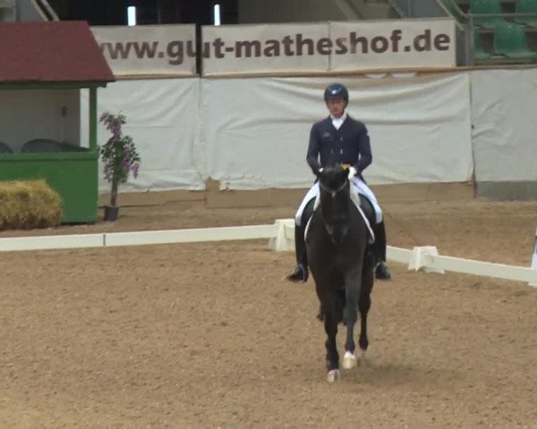 Reitturnier Kreuth/Opf. 2019