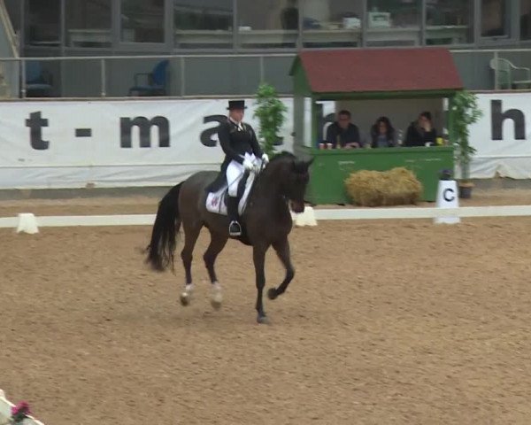 Reitturnier Kreuth/Opf. 2019