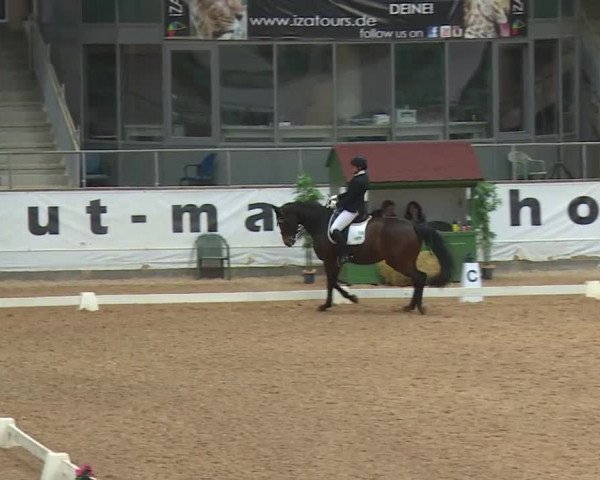 Reitturnier Kreuth/Opf. 2019