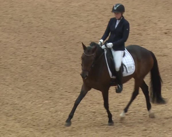 Reitturnier Kreuth/Opf. 2019