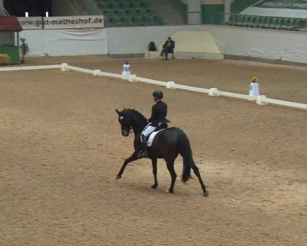 Reitturnier Kreuth/Opf. 2019